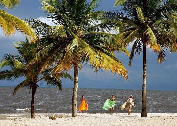 Pitinga Beach Visit Taperapua Beach: 2024 Taperapua Beach, Porto Seguro Travel ... photo