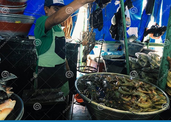 Fish Market EL SALVADOR, LA LIBERTAD - MAR 4, 2017. Fish Market, La Libertad ... photo