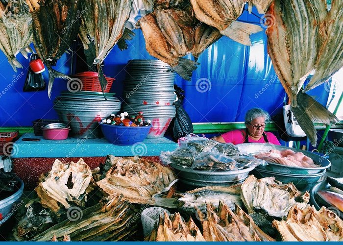 Fish Market EL SALVADOR, LA LIBERTAD - MAR 4, 2017. Old Woman Sells Dried Fish ... photo