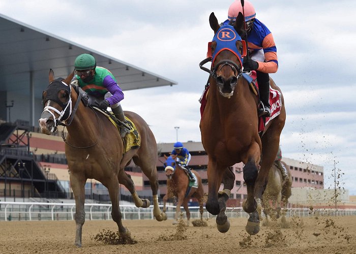 Aqueduct Racetrack Aqueduct Racetrack in Queens to reopen to horse racing fans ... photo