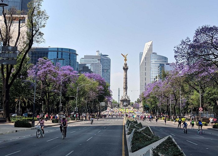 Paseo de la Reforma Paseo de la Reforma Connects the Culture and Economy of Mexico ... photo