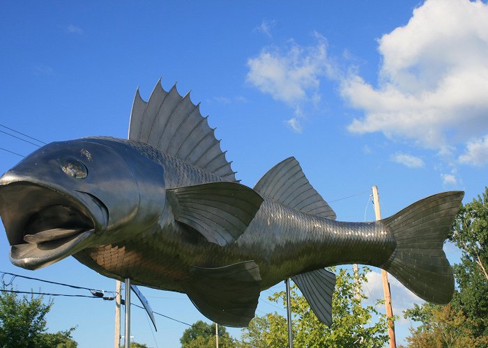 Trent-Severn Waterway The Trent-Severn Waterway – Trenton to Peterborough ... photo