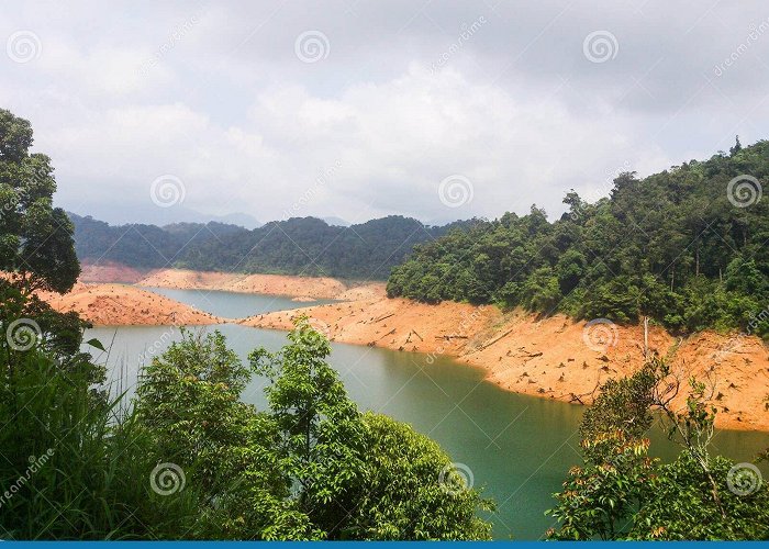 Periyar National Park 303 Pathanamthitta Stock Photos - Free & Royalty-Free Stock Photos ... photo