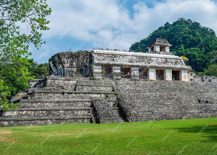 Palenque Archeological Zone Premium Photo | Ancient maya ruins in the archeological site of ... photo