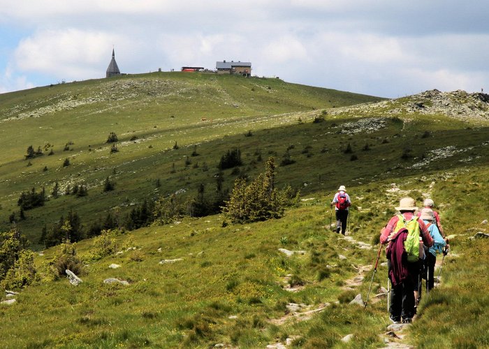 Sonnenbahn Senior tour on the Hochwechsel • Mountain Hike » outdooractive.com photo