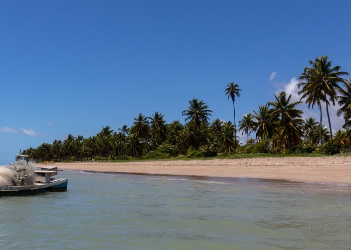 Sao Bento beach Visit Porto de Pedras: 2024 Travel Guide for Porto de Pedras ... photo