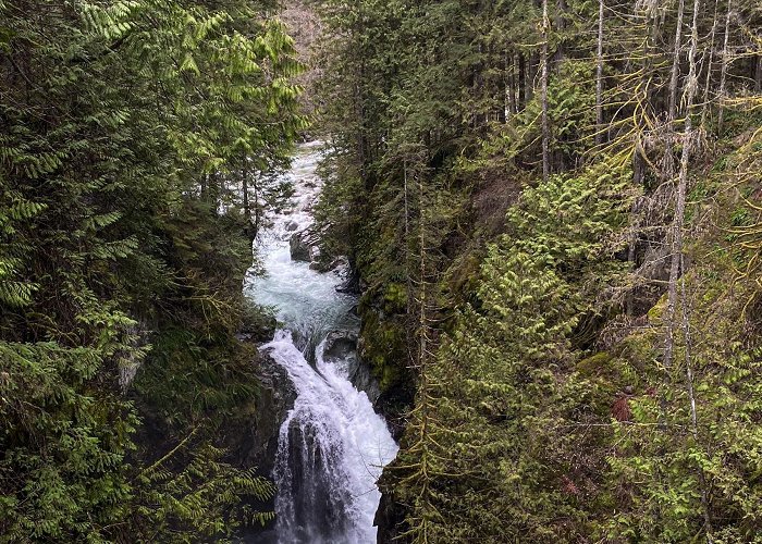 Lynn Canyon Park 🔥 Lynn Creek in Lynn Canyon Park, North Vancouver, British ... photo