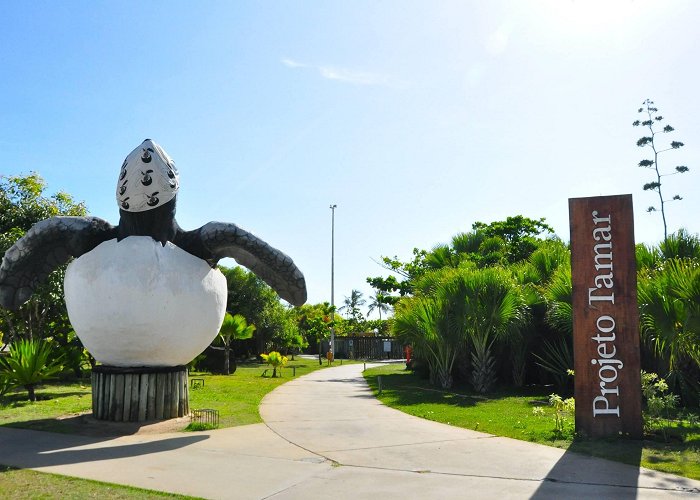 Oceanario de Aracaju Oceanário de Aracaju - Aracaju photo