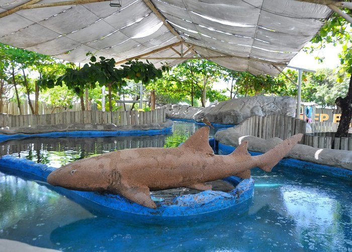 Oceanario de Aracaju Oceanário de Aracaju - Aracaju photo