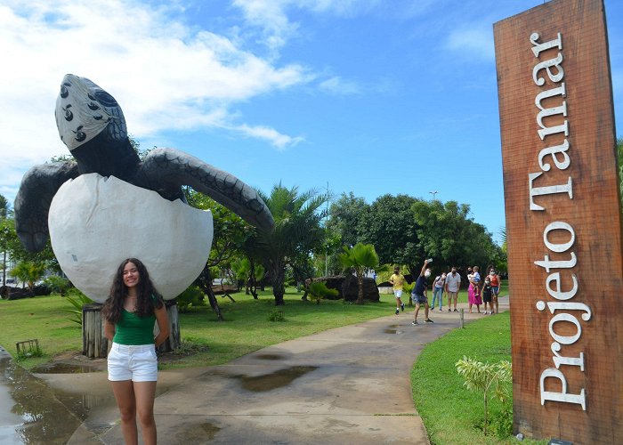 Oceanario de Aracaju Oceanário de Aracaju, o Projeto Tamar ⋆ Família que viaja junto photo