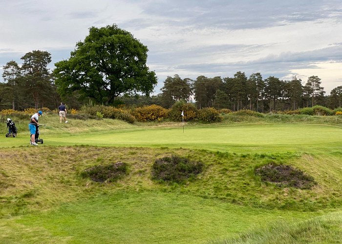 Hankley Common Golf Club Hankley Common Golf Club | Golf Course Review — UK Golf Guy photo