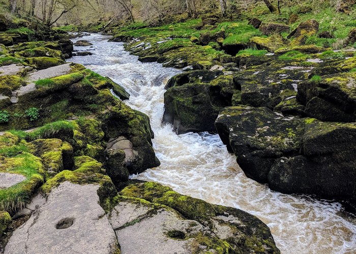 The Strid The Strid, Bolton Abbey, Skipton. Supposedly the most dangerous ... photo