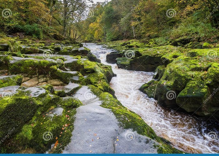 The Strid The Strid, River Wharfe, Near Bolton Abbey Stock Image - Image of ... photo