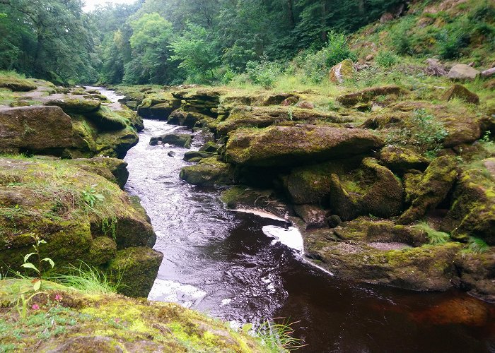 The Strid Went camping up near Bolton Abbey yesterday. Paid a visit to The ... photo