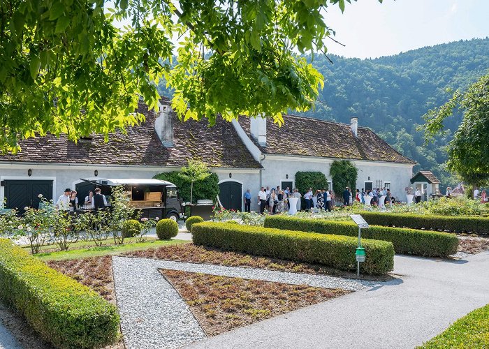 Herberstein Castle Discover Herbersten Castle in the heart of Styria photo