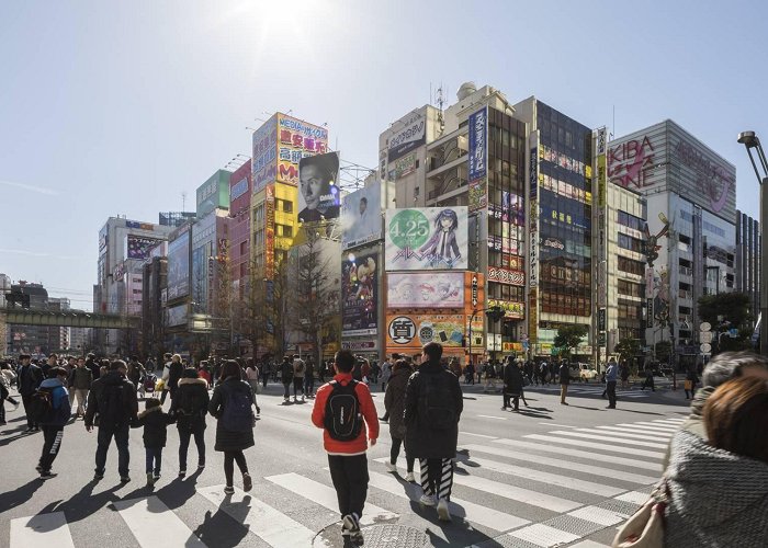 Akihabara Station A guide to Akihabara - Japan's pop culture paradise | The Official ... photo