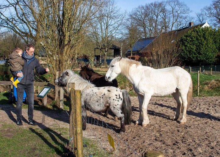 Kinderboerderij De Brink Kinderboerderij De Brink werkt aan natuurlijke omheining - Al het ... photo