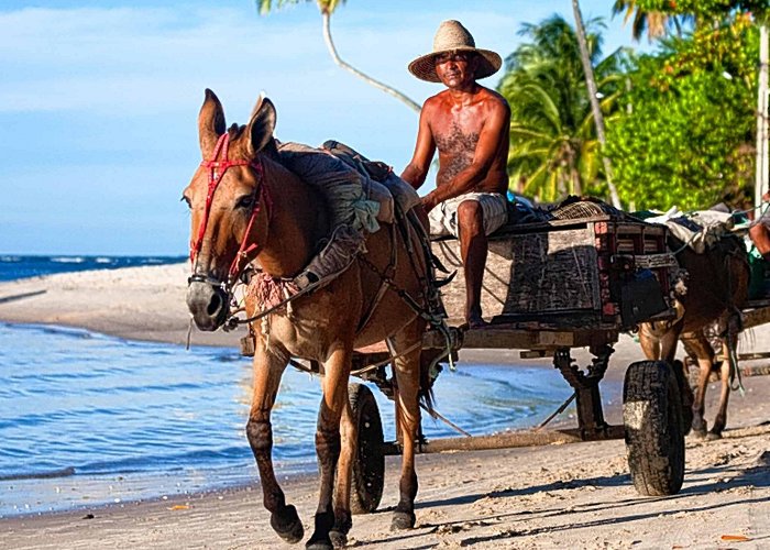 Morere Beach Boipeba, Brazil: Life moves at an easy pace on this car-free ... photo