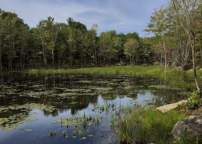 Six Mile Lake Provincial Park Six Mile Lake Provincial Park: Planning a Last Minute Group ... photo