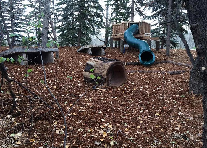 Kerry Wood Nature Centre Kerry Wood Nature Centre - Bienenstock Natural Playgrounds Inc. photo