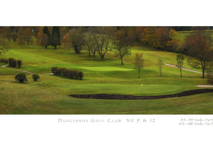 Dungannon Golf Club Dungannon Golf Club No. 8 | Stonehouse Golf photo