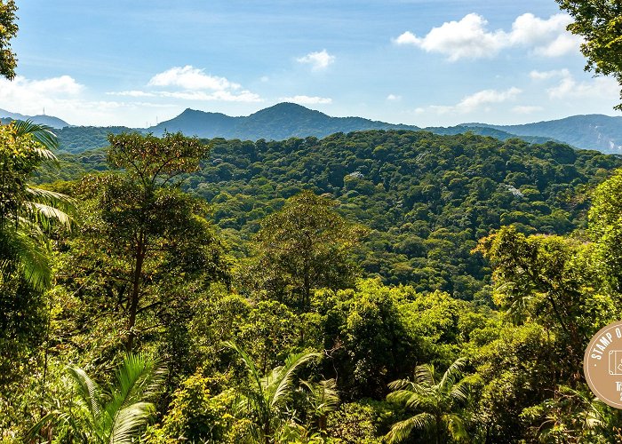 Tijuca Forest National Park My Favorite Airbnb Experience in Rio (2023): Exploring the ... photo