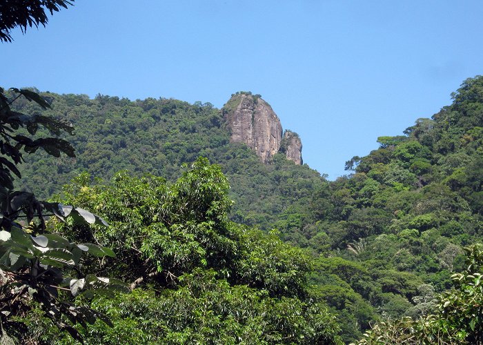 Tijuca Forest National Park TIJUCA FOREST - AN URBAN FOREST IN THE HEART OF RIO! - Free Walker ... photo