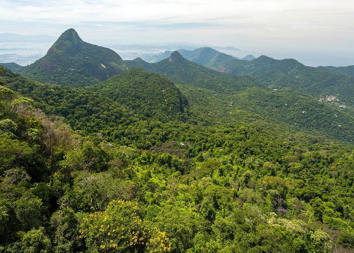 Tijuca Forest National Park Natural scenery of forest and mountains, Tijuca Forest National ... photo