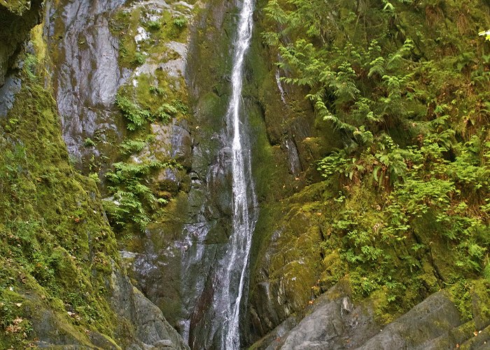 Goldstream Provincial Park British Columbia | Back Alley Soapbox photo