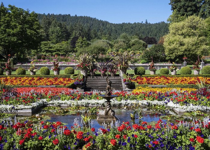 The Butchart Gardens The Butchart Gardens photo