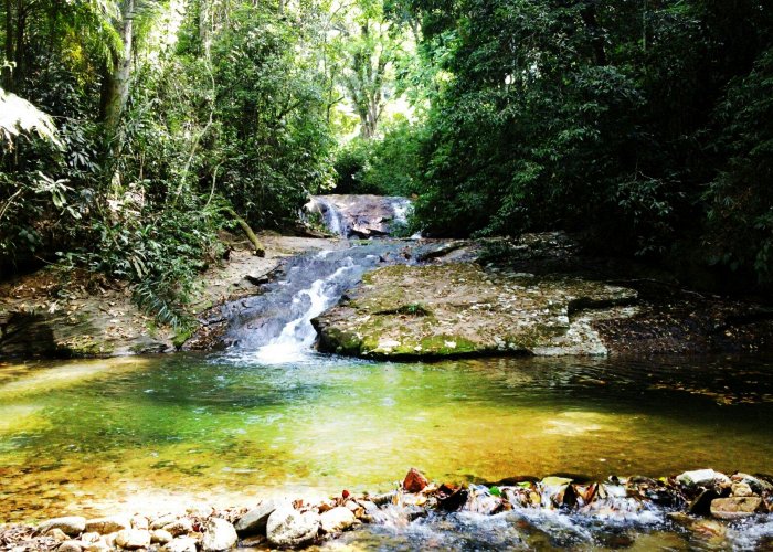 Floresta da Tijuca Parque Nacional da Tijuca | Good in Rio photo