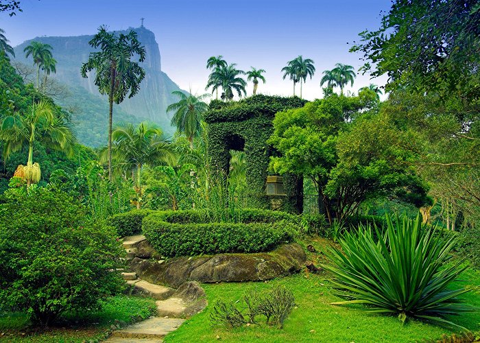 Rio de Janeiro Botanical Gardens Rio de Janeiro Botanical Garden Tours - Book Now | Expedia photo