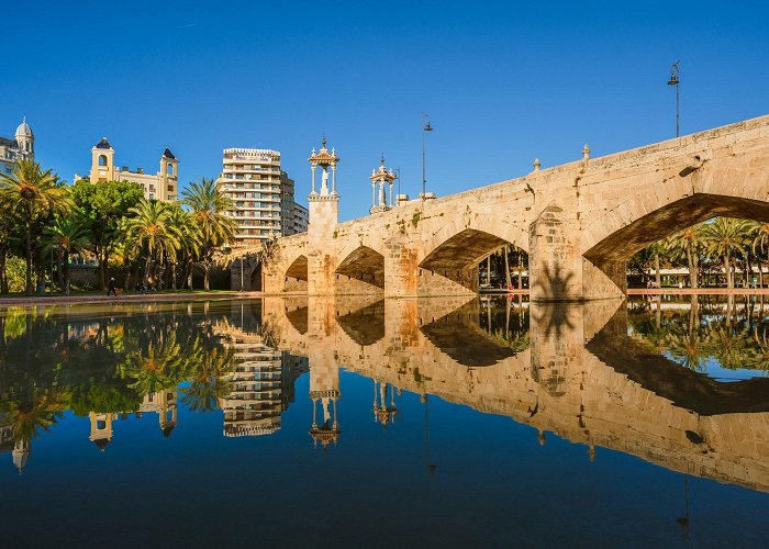 Antiguo Cauce del Rio Turia El Jardín del Turia cumple 35 años | Traveler photo