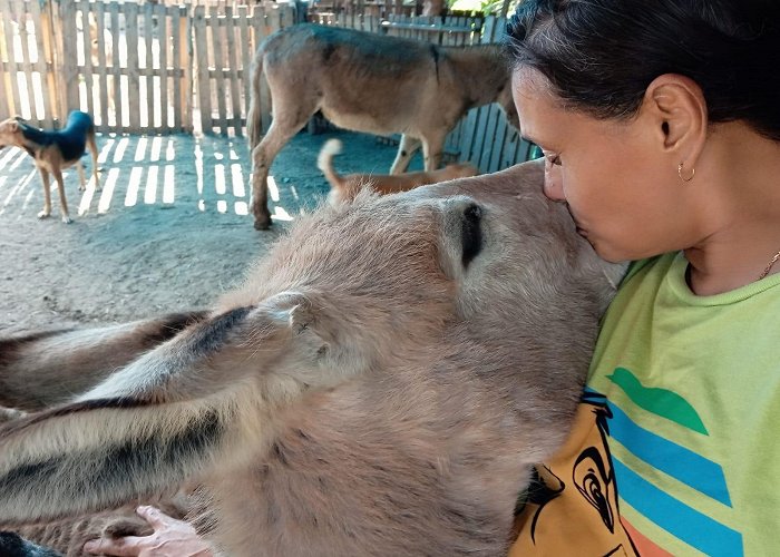 Fortaleza Zoo Menino Vaqueiro Shelter: sanctuary with rescued animals photo