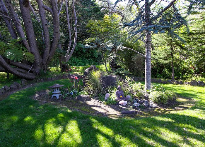 Reader Rock Garden Point Reyes Seashore Lodging | Motel Inveness Photo Gallery ... photo