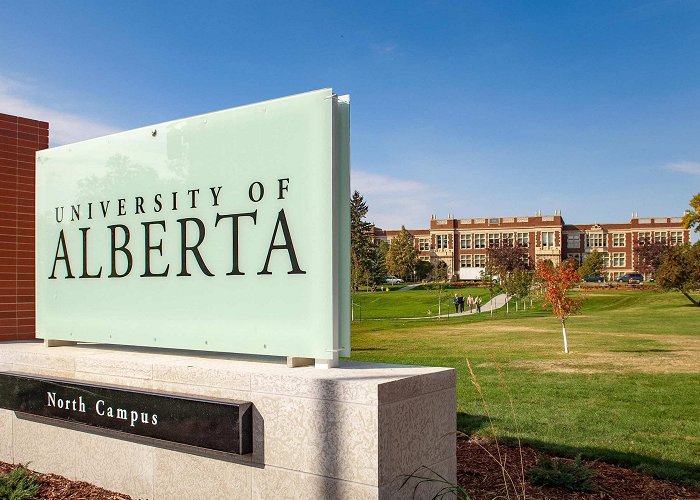 University of Alberta From the Provost's Desk: Black Academic Excellence Cohort Hire at ... photo