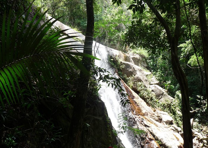 Ecomuseum Things to Do in Ilha Grande in 2024 | Expedia photo