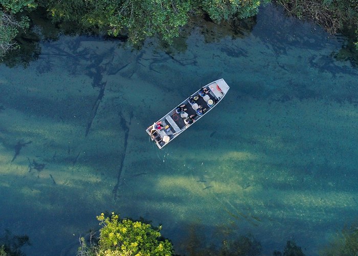 Natural Aquarium Day trips, guided tours and activities in Bonito - Page 2 photo