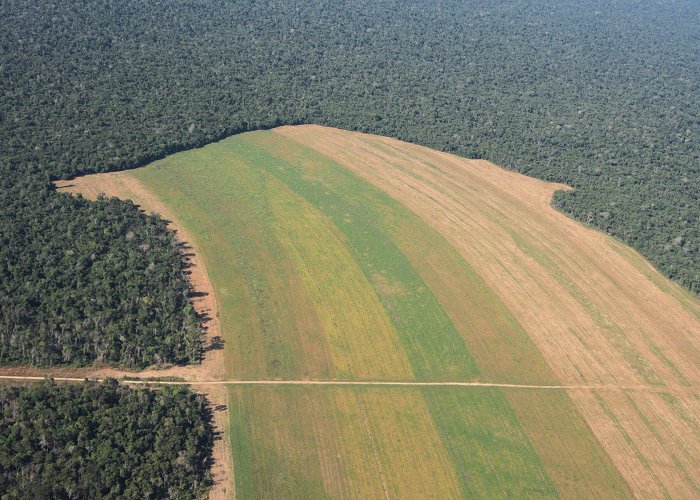 State University of Natal Private lands stalling Brazil's conservation efforts, says study photo