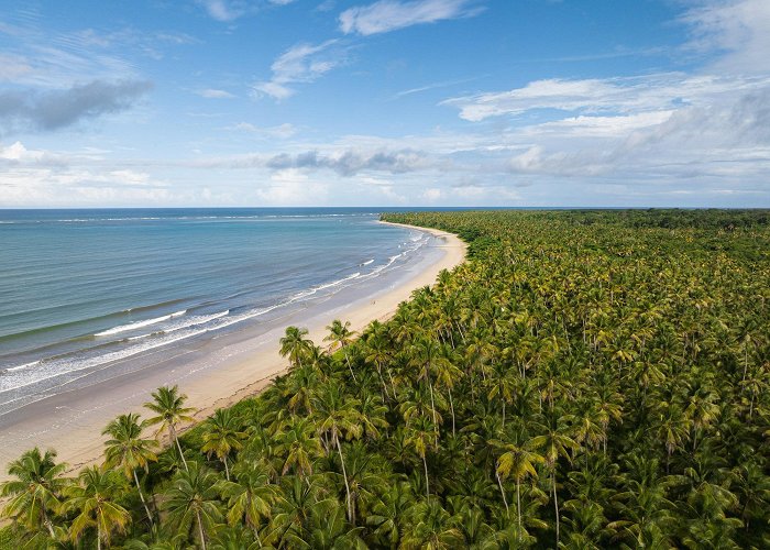 Bainema Beach The Boipeba Bahia Tour & Travel Guide (2023) - Travel South America photo