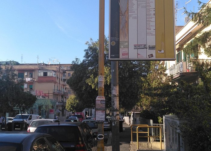 Ospedale Pertini Torrenova/Giuturna stop - Routes, Schedules, and Fares photo