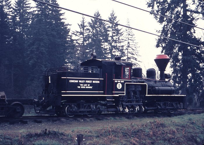 Cowichan Valley Museum Weston Langford110163: Duncan BC Cowichan Valley Forest Museum No 1 photo