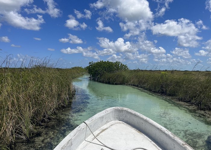 Cesiak Sian Ka'an Biosphere + Mayan Ruins - Tulum | Project Expedition photo