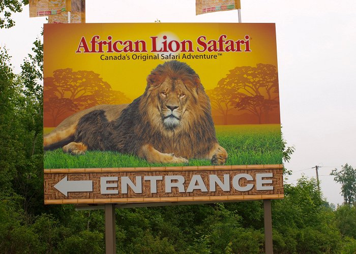 African Lion Safari AFRICAN LION SAFARI, CAMBRIDGE, ONTARIO: FAVOURITE ANIMAL PHOTOS photo