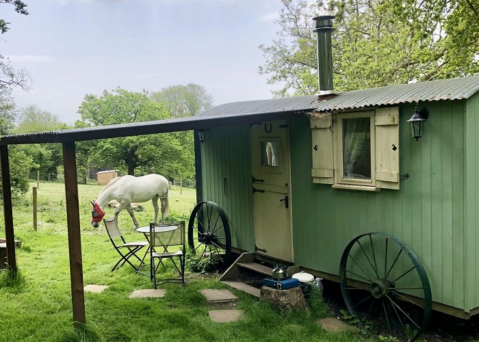 Pyecombe Golf Club Waydown Shepherds Huts - Hipcamp in West Sussex, England photo