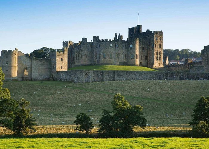 Alnwick Castle Alnwick Castle | Visit Northumberland photo