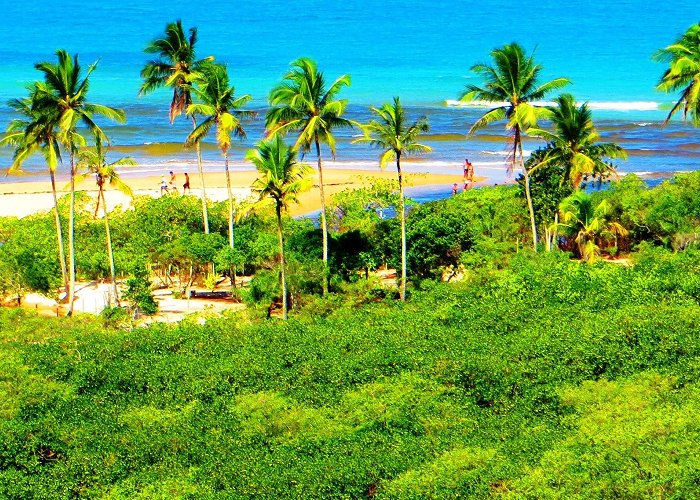 Rio Verde Beach Excursiones, visitas guiadas y actividades en Trancoso - Civitatis photo