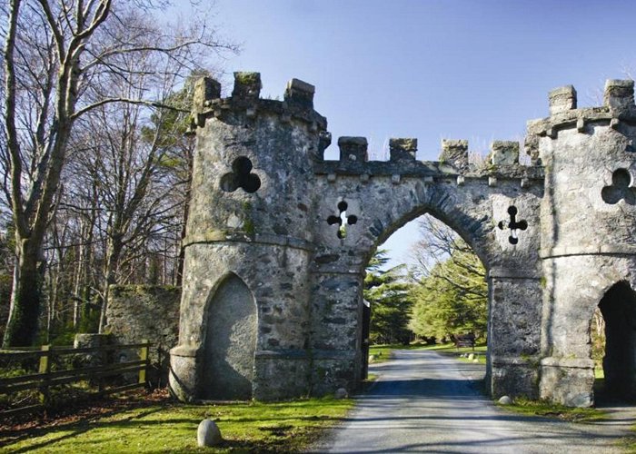 Tollymore Forest Park Tollymore Forest Park & Waterfall - Experience Northern Ireland photo