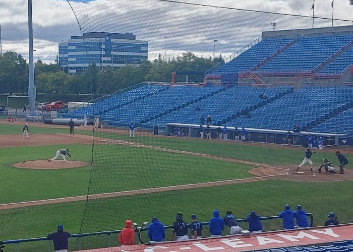 RCGT Park Lemay's clutch double propels Team Grey to win — Canadian Baseball ... photo