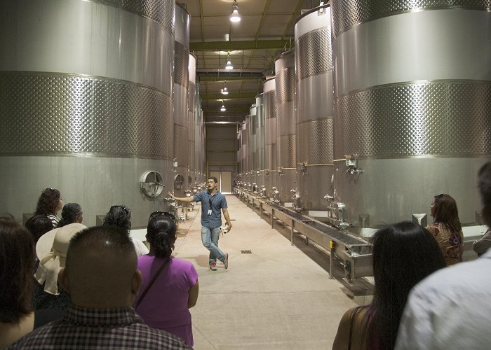 L.A. Cetto Winery TRIP REPORT: Escape to Baja's Wine Country Tour, May 24, 2016 ... photo